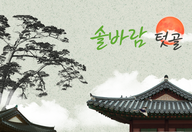 솔바람텃골